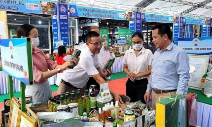 Sắp diễn ra Hội nghị Kết nối Kinh doanh và Đầu tư Việt Nam - Quốc tế 2025