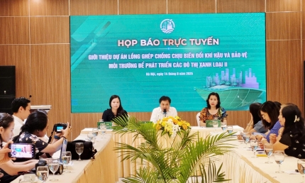 Tăng cường năng lực bảo vệ môi trường, phát triển xanh các đô thị loại II