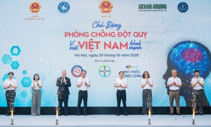 Gần 170.000 ca tử vong do đột quỵ mỗi năm ở Việt Nam