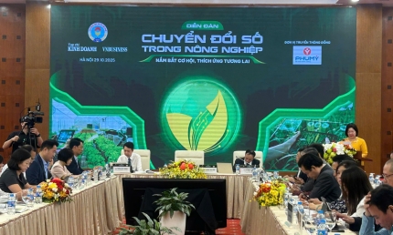 Chuyển đổi số trong hợp tác xã nông nghiệp: Hiệu quả đã rõ nhưng tỷ lệ vẫn thấp