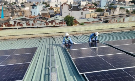 Doanh nghiệp Đan Mạch tại Việt Nam đẩy mạnh chuyển đổi năng lượng xanh