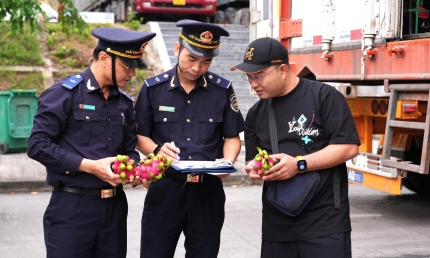 Xuất nhập khẩu hàng hóa trong tháng 10/2025 của Việt Nam đều giảm