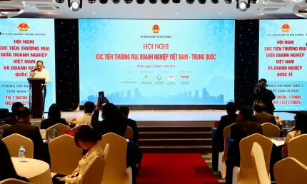 Nhu cầu đối với nông sản Việt Nam của thị trường Trung Quốc ngày càng tăng