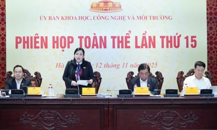 Luật về AI cần tạo ra được sự cân bằng giữa quản lý và nghiên cứu, phát triển