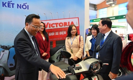 Khai mạc Hội chợ Triển lãm thiết bị tiết kiệm năng lượng và chuyển đổi xanh 2025