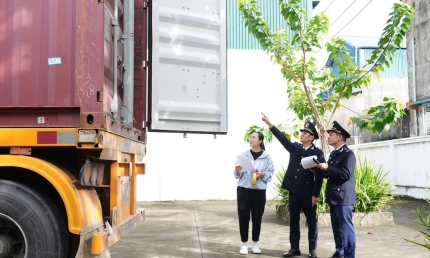 Việt Nam thu giữ 2,4 tấn ma tuý các loại trong năm 2025