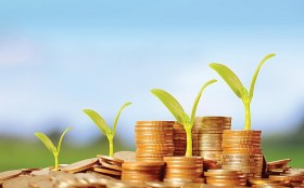 Nhiều doanh nghiệp trả cổ tức tiền mặt đầu xuân Giáp Thìn 2024