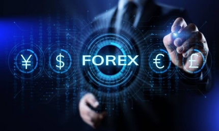 Đầu tư Forex là gì? Rủi ro trong đầu tư Forex