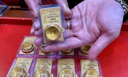 Giá vàng hôm nay 21/11: Vàng miếng, vàng nhẫn đồng loạt giảm mạnh