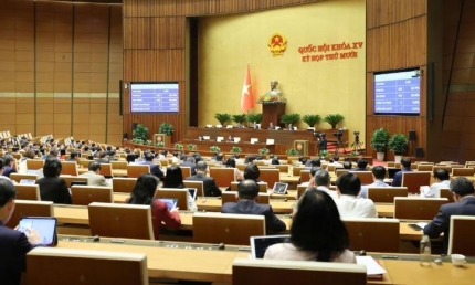 Thủ tướng được quyền áp dụng các biện pháp luật chưa quy định trong tình trạng khẩn cấp