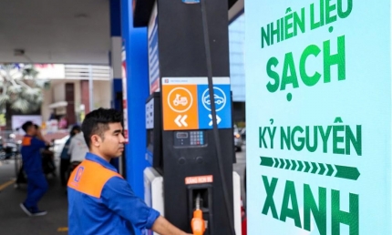 Giá xăng dầu đồng loạt giảm từ 15h chiều nay (11/12)