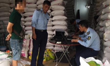 Hà Nội: Phát hiện 6 cơ sở kinh doanh gạo có dấu hiệu giả mạo thương hiệu