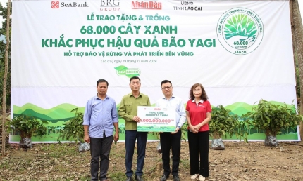 SeABank và Tập đoàn BRG chung tay trồng 68.000 cây phủ xanh gần 20ha rừng tại Lào Cai