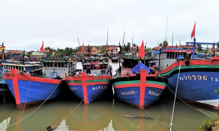 Ninh Bình, Thanh Hoá, Nghệ An chủ động ứng phó với diễn biến của bão số 3