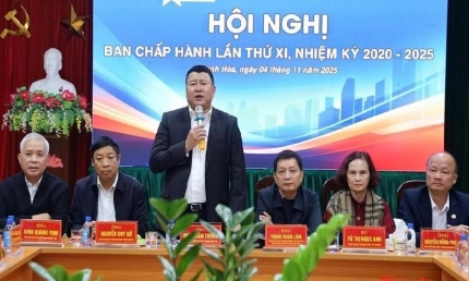 Hiệp hội Doanh nghiệp Thanh Hóa chuẩn bị nhân sự cho nhiệm kỳ 2025 - 2030