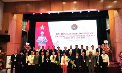 Võ thuật tổng hợp Việt Nam chuyển mình, nỗ lực vươn tầm quốc tế