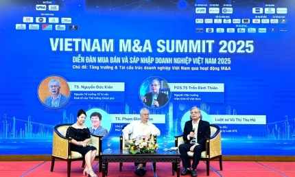 M&A Summit 2025: Chiến lược hỗ trợ doanh nghiệp tái cấu trúc và chuyển mình hiệu quả trong kỷ nguyên chuyển đổi số
