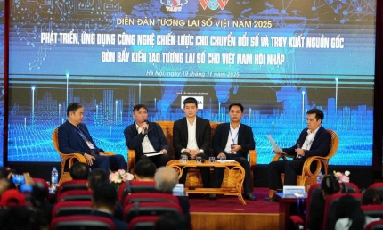Diễn đàn Tương lai số Việt Nam 2025: Nâng cao năng lực cạnh tranh của doanh nghiệp Việt trong môi trường số toàn cầu