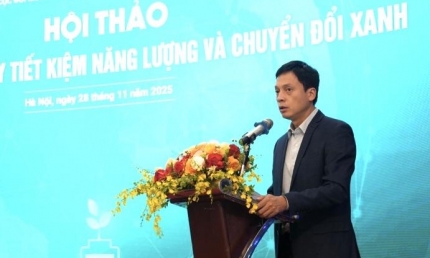 Định hình tiến trình chuyển đổi xanh và năng lượng bền vững cho Việt Nam