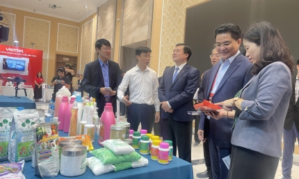 Thúc đẩy chuyển đổi số, chuyển đổi xanh, nâng cao năng lực cạnh tranh trong chuyển đổi số thị trường