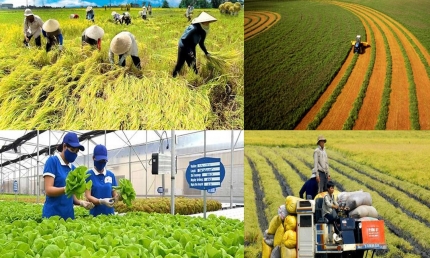 Kinh tế tuần hoàn trong nông nghiệp là xu thế phát triển tất yếu