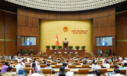 Đại biểu Quốc hội: Cần cân nhắc kỹ lưỡng khi áp dụng thuế tiêu thụ đặc biệt nước giải khát có đường