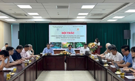 VUSTA: Thúc đẩy các chính sách phát triển thị trường tín chỉ carbon