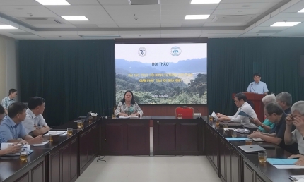 VUSTA: Nâng cao các biện pháp cải tạo rừng, phục hồi rừng tự nhiên góp phần giảm khí nhà kính