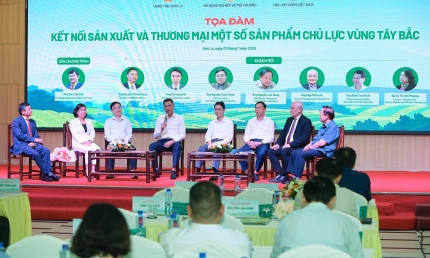 Nâng cao kết nối sản xuất và thương mại nông lâm sản các tỉnh Tây Bắc