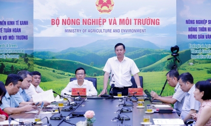 Tháo gỡ vướng mắc về phân quyền, phân cấp trong trồng trọt và bảo vệ thực vật