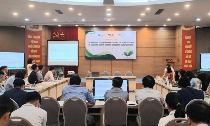 Hỗ trợ doanh nghiệp Việt Nam chuyển đổi xanh để hội nhập thị trường Châu Âu