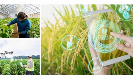 Đẩy mạnh liên kết chuỗi giá trị và xây dựng hệ sinh thái số hướng tới nền nông nghiệp hiện đại