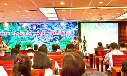 Nhiều kết quả nghiên cứu giá trị tại Hội thảo Khảo cổ học toàn quốc lần thứ 60