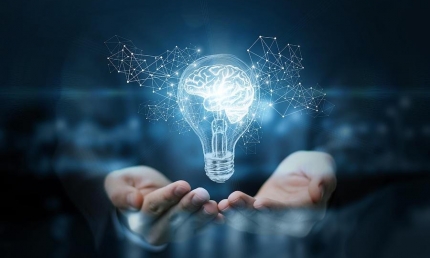 Quyền sở hữu trí tuệ cần được rà soát kỹ càng trong khuôn khổ Luật Sở hữu trí tuệ