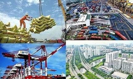Bức tranh kinh tế Việt Nam nửa đầu năm 2024