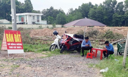 Đất nền dẫn đầu thanh khoản cao gấp hơn 3 lần chung cư và nhà phố, nhiều khu vực ở Hà Nội giá tăng 60% trong năm 2024