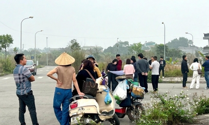 VARS: Tâm lý fomo và kỳ vọng giá tăng khiến nhiều nhà đầu tư đang chạy theo “cơn sốt” đất ảo sáp nhập tỉnh, thành