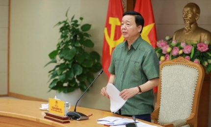Phó thủ tướng: Không để tình trạng thiếu minh bạch thông tin khiến nhà đầu tư thổi giá gây rối loạn thị trường bất động sản