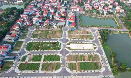 Hơn 101.000 lô đất nền được 'sang tay' quý đầu năm, cao gấp 3 lần chung cư và nhà ở riêng lẻ cộng lại