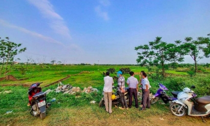Giao dịch đất nền thành công tăng mạnh ở nhiều địa phương trước ngày hoàn tất sáp nhập tỉnh, thành