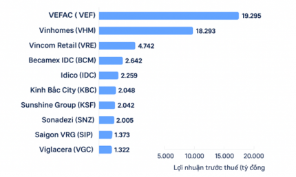 Toàn cảnh bức tranh doanh nghiệp bất động sản 9 tháng năm 2025: Loạt công ty của tỷ phú Phạm Nhật Vượng … “thắng lớn”