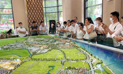 Doanh nghiệp bất động sản thành lập mới lập đỉnh 3 năm khi thị trường hồi phục mạnh