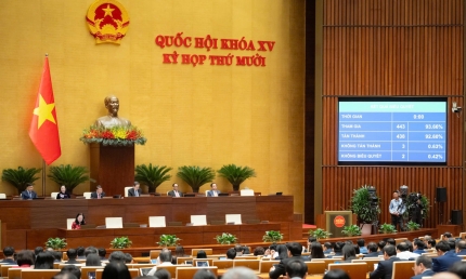 Quốc hội chốt: Giữ nguyên thuế bất động sản 2%, lần đầu đánh thuế vàng miếng