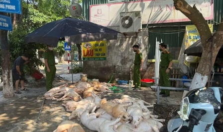 Vĩnh Phúc bắt quả tang hàng tấn thịt lợn 'ốm' sơ chế bán vào khu công nghiệp