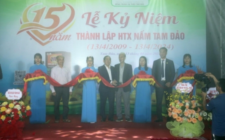 Hợp tác xã Nấm Tam Đảo (Vĩnh Phúc) hướng tới sản phẩm du lịch Việt Nam