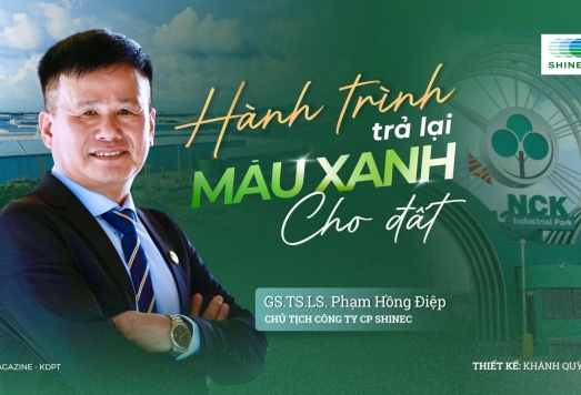 Hành trình trả lại màu xanh cho đất