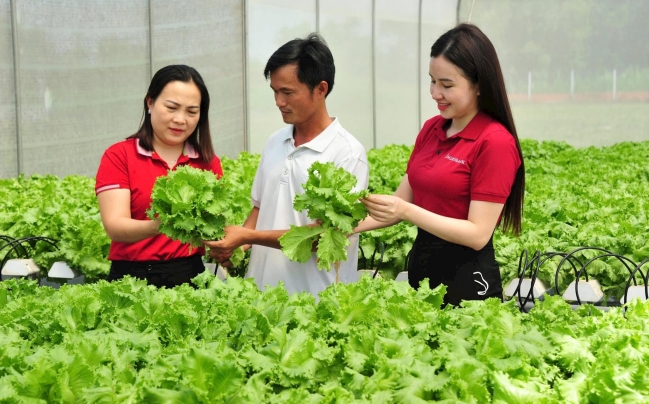 Nguồn vốn Agribank thúc đẩy kinh tế tư nhân  phát huy vai trò trụ cột quan trọng của nền kinh tế