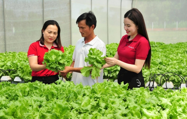 Nguồn vốn Agribank thúc đẩy kinh tế tư nhân  phát huy vai trò trụ cột quan trọng của nền kinh tế