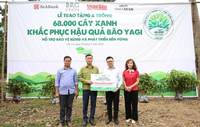 SeABank và Tập đoàn BRG chung tay trồng 68.000 cây phủ xanh gần 20ha rừng tại Lào Cai