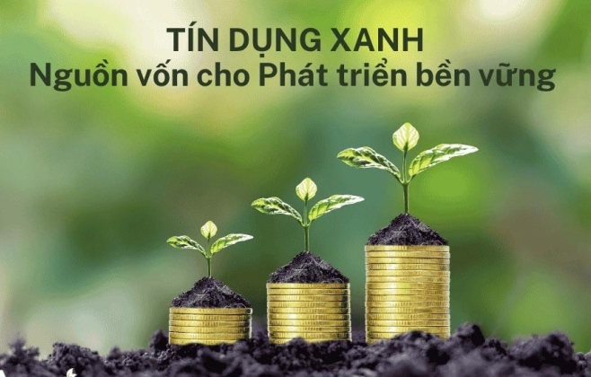 Đẩy mạnh hỗ trợ doanh nghiệp tiếp cận vốn tín dụng xanh